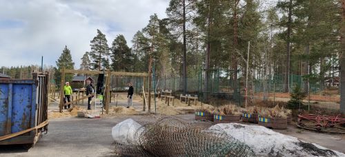 Bild tagen en bit ifrn utegymmet, ett stngsel r nedtaget och ligger hoprullat nrmast kameran. En bl conteriner skymtar till vnster.